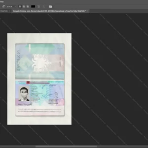 Albania Passport Psd Template version 1 - professional graphic design asset