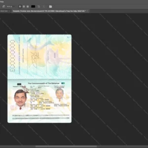 Bahamas Passport Psd Template version 1 - professional graphic design asset