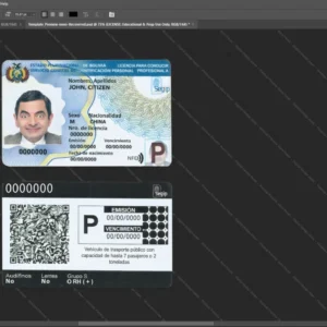 Bolivia Driver License Psd Template version 2 (2017-present) - detailed close-up of paper texture