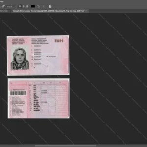 Bosnia Driver License Psd Template version 1 - sample view of editable text fields