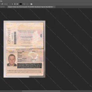 Brazil Passport Psd Template version 2 - official style layout concept