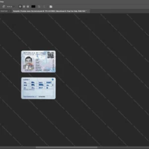 Chile Driver License Psd Template version 1 - blank template for editing data