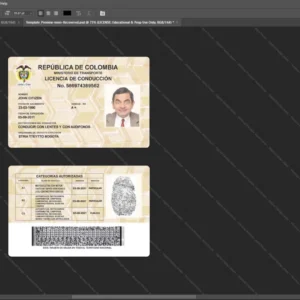 Colombia Driver License Psd Template version 2 - professional graphic design asset