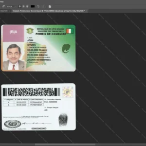 Cote Divoire Driver License Psd Template version 1 - blank template for editing data
