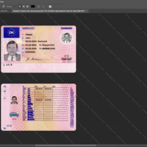 Denmark Driver License Psd Template version 1 - sample view of editable text fields