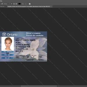 Canada Ontario Driver License Psd Template version 1 - layered smart object structure
