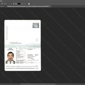 Haiti Passport Psd Template version 1 - professional graphic design asset