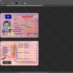 Netherlands Driver License Psd Template version 1 - high quality preview for designers