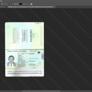 Nigeria Passport Psd Template version 2 (2019-present) - professional graphic design asset
