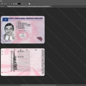 Belgium Driver License Psd Template version 1 - official style layout concept