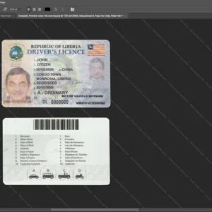 Liberia Driver License Psd Template version 1 - professional graphic design asset