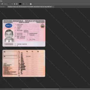 Macedonia Driver License Psd Template version 1 - customizable identity template view