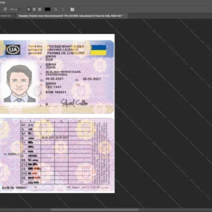 Ukraine Driver License Psd Template version 2 - customizable identity template view