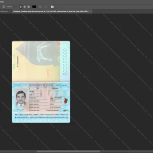 Du Tchad Passport Psd Template version 1 (2021-present) - high quality preview for designers