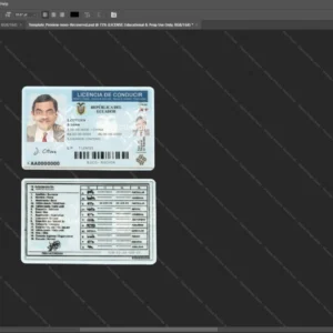 Ecuador Driver License Psd Template version 1 - layered smart object structure