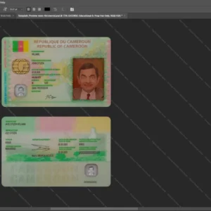 Cameroon Id Card Psd Template version 1 - official style layout concept