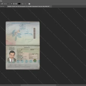 Jamaica Passport Psd Template version 1 - sample view of editable text fields