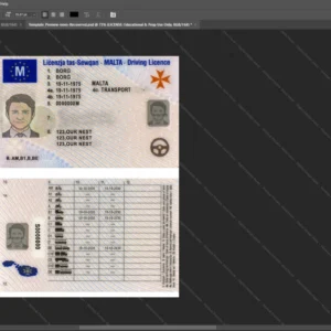 Malta Driver License Psd Template version 1 - high definition print standard