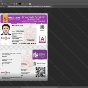 Mexico Nuevo Leon Driver License Psd Template version 1 - fully editable photoshop layers