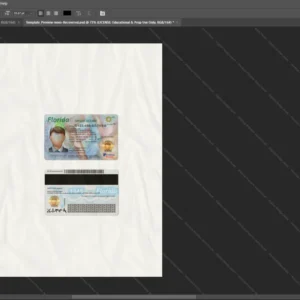 Usa Florida Driver License Psd Template version 3 - layered smart object structure