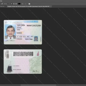 Usa New Hampshire Id Card Psd Template version 1 - cinematic prop for movie production