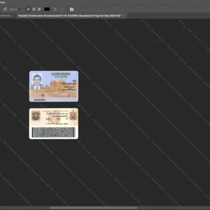 Egypt Id Card Psd Template version 1 - official style layout concept