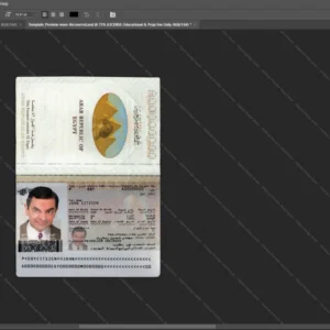Egypt Passport Psd Template version 1 - sample view of editable text fields