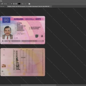 Estonia Driver License Psd Template version 1 - printable document prop template