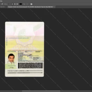 Ethiopia Passport Psd Template version 1 - official style layout concept