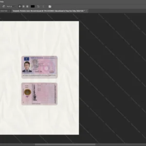 France Driver License Psd Template version 1 - printable document prop template