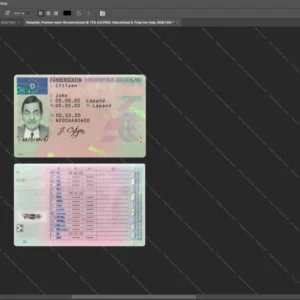 Germany Driver License Psd Template version 1 - printable document prop template