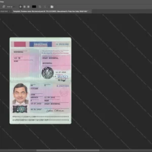 Germany Passport Psd Template version 4 (2022-present) - sample view of editable text fields