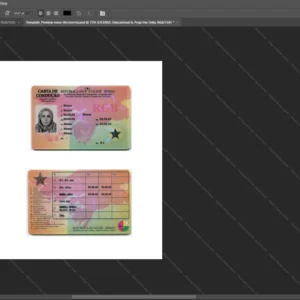 Guinea Bissau Driver License Psd Template version 1 - photorealistic shadow details
