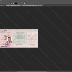 Guinea Driver License Psd Template version 1 - sample view of editable text fields
