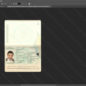 Algeria Passport Psd Template version 1 - high quality preview for designers