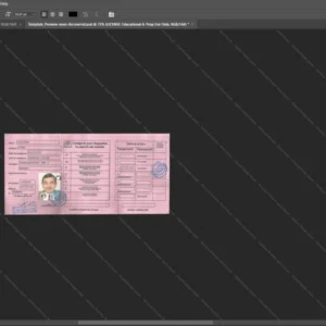 Mali Driver License Psd Template version 1 - layered smart object structure