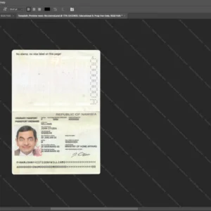 Namibia Passport Psd Template version 1 - high quality preview for designers