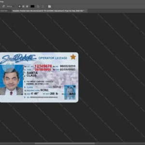 Usa South Dakota Driver License Psd Template version 1 - cinematic prop for movie production