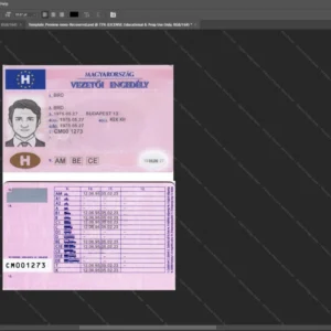 Hungary Driver License Psd Template Version 1 v1 - customizable identity template view