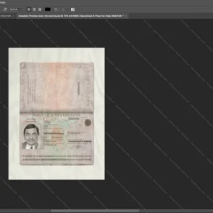 Hungary Passport Psd Template version 1 - high definition print standard