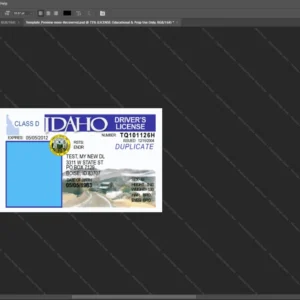 Idaho Driver License Psd Template version 1 - official style layout concept