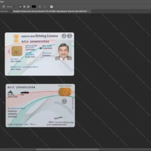 India Driver License Psd Template version 3 (union) - printable document prop template