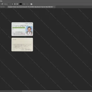 Japan Driver License Psd Template version 1 - sample view of editable text fields