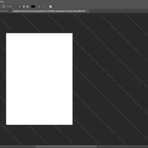 Japan Passport Psd Template version 2 - fully editable photoshop layers