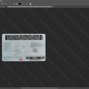 Canada Alberta Driver License Psd Template version 2 - isolated background mockup