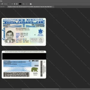 Canada Driver License Psd Template version 3 (British Columbia) - professional graphic design asset