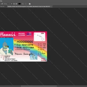 Hawaii Driver License Psd Template version 1 - printable document prop template