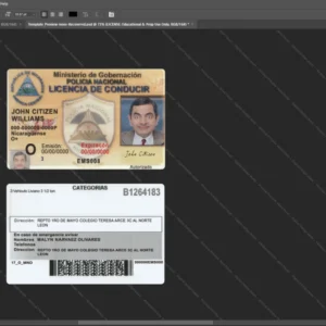 Nicaragua Driver License Psd Template version 1 - high quality preview for designers