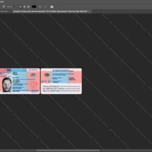 Polska Residence Permit Id Card Psd Template version 2 - professional graphic design asset