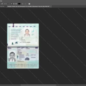 Sweden Passport Psd Template version 3 (2022-present) - graphic resource for digital artists
